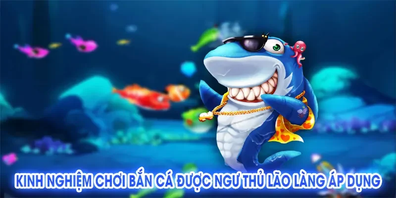 Kinh Nghiệm Chơi Bắn Cá Để Tăng Phần Trăm Chiến Thắng